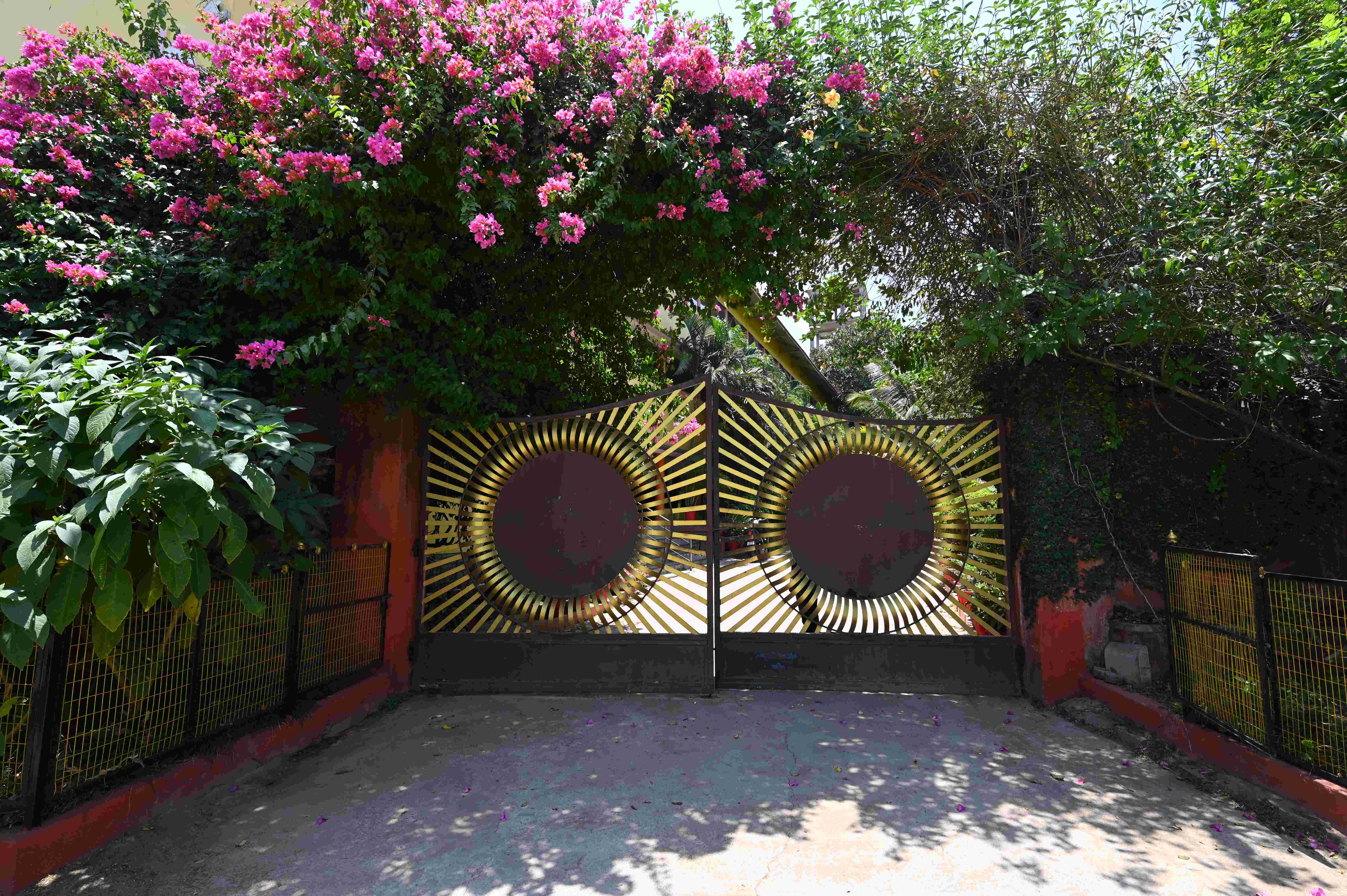 sbu campus placement